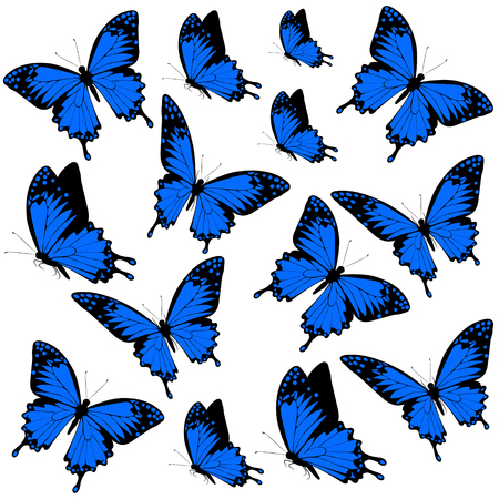 butterflies designのイラスト素材