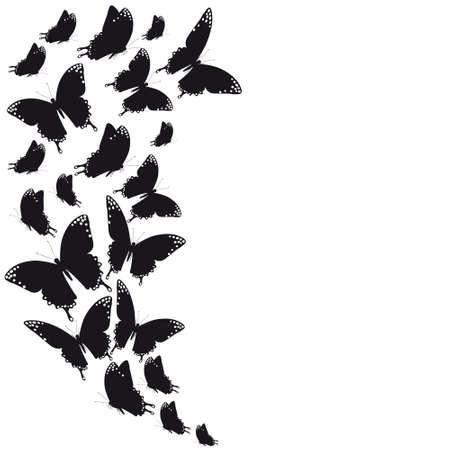 butterflies designの写真素材