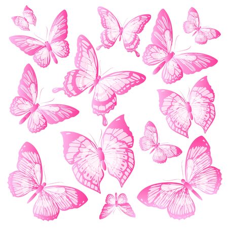 color butterflies,isolated on a whiteのイラスト素材