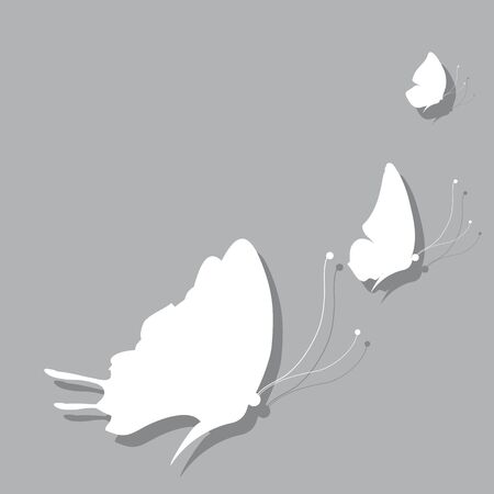 black butterflies,isolated on a whiteのイラスト素材