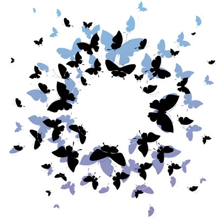 black butterflies,isolated on a whiteの写真素材