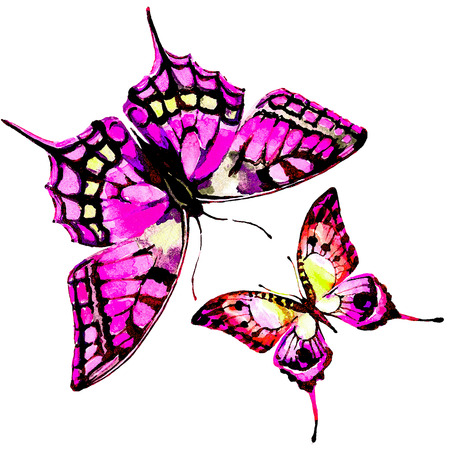 butterflies designの写真素材