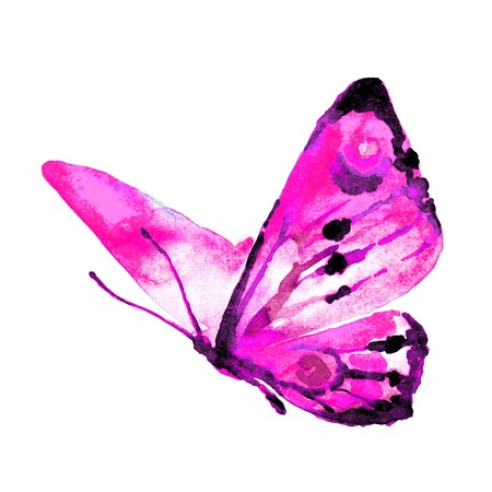 butterfly,watercolor, isolated on a whiteの写真素材