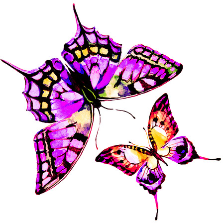 butterflies designの写真素材