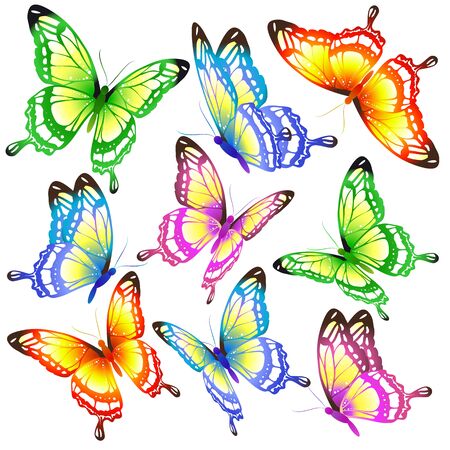 color butterflies,isolated on a whiteのイラスト素材