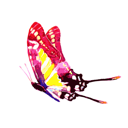 butterfly,watercolor, isolated on a whiteのイラスト素材