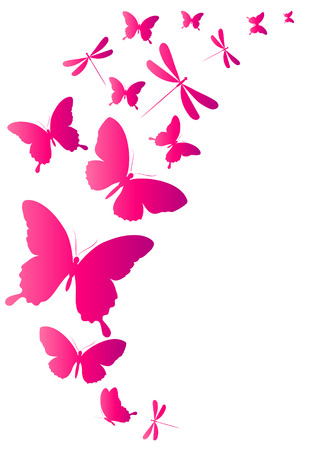 color butterflies,isolated on a whiteのイラスト素材
