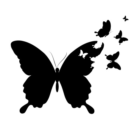 butterflies designの写真素材