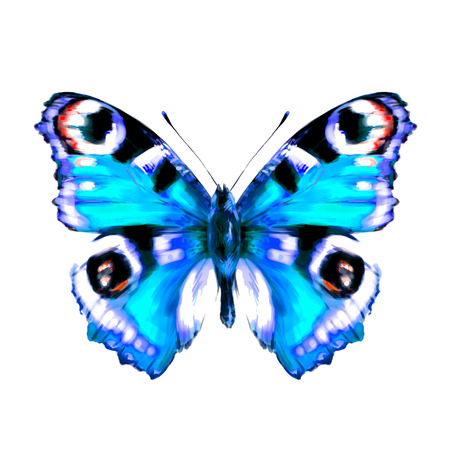 butterfly,watercolor, isolated on a whiteの写真素材