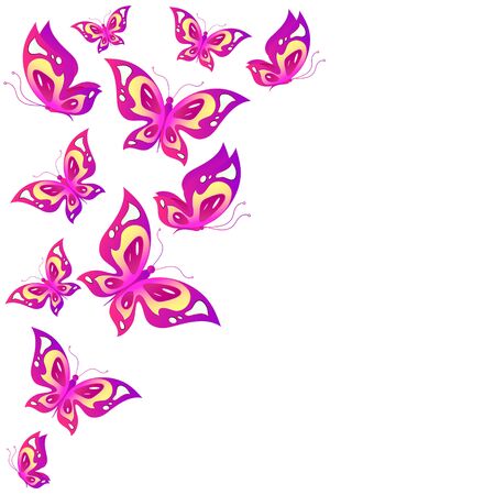 color butterflies,isolated on a whiteのイラスト素材