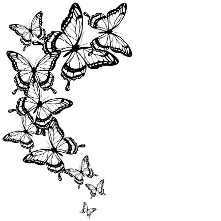 black butterflies,isolated on a whiteのイラスト素材