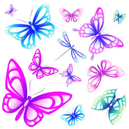 beautiful butterfly, on a whiteのイラスト素材
