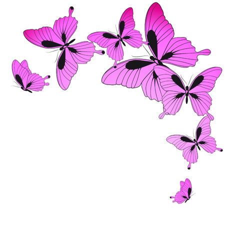 beautiful butterflies, isolated  on a whiteのイラスト素材