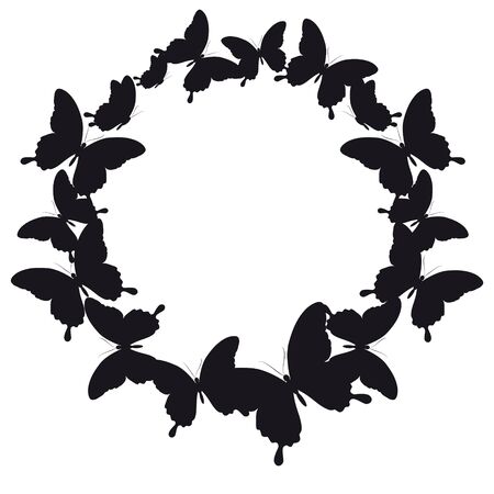 Black butterfly, isolated on a white.のイラスト素材