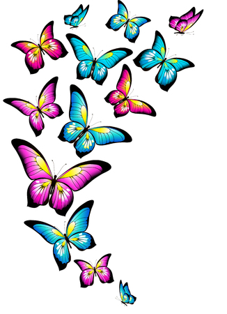 beautiful color butterflies,set, isolated  on a whiteのイラスト素材