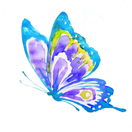 Beautiful blue butterfly,watercolor,isolated on a whiteの写真素材