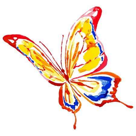Red butterfly,watercolor,isolated on a whiteのイラスト素材