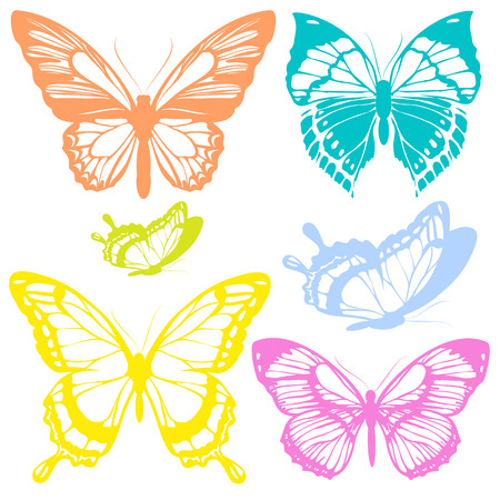 beautiful color butterflies,set, isolated  on a whiteのイラスト素材