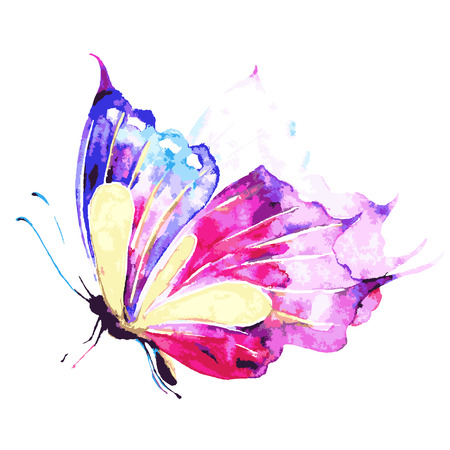 beautiful pink butterfly,watercolor,isolated on a whiteの写真素材