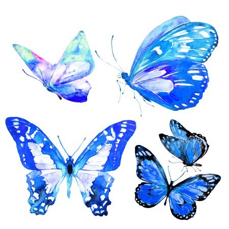 beautiful butterflies, set,watercolor,isolated on a whiteの写真素材