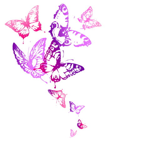 beautiful pink butterflies, isolated  on a whiteのイラスト素材