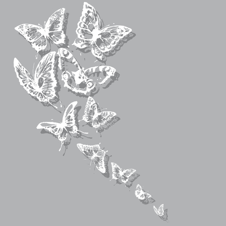 white butterflies, on a greyのイラスト素材