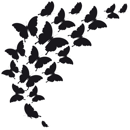 black butterfly, isolated on a whiteのイラスト素材