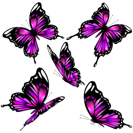 beautiful pink butterflies, isolated  on a whiteのイラスト素材