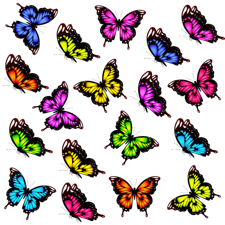 beautiful color butterflies,set, isolated  on a whiteのイラスト素材