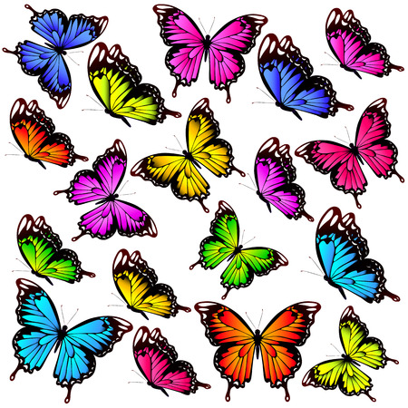 beautiful color butterflies,set, isolated  on a whiteのイラスト素材