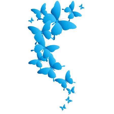 beautiful blue butterflies, isolated  on a whiteのイラスト素材