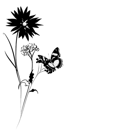 black butterfly, isolated on a whiteのイラスト素材