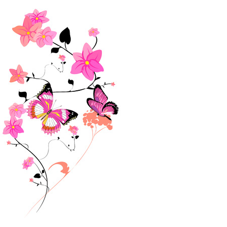 Beautiful wildflowers, bouquet, isolated  on a whiteの写真素材
