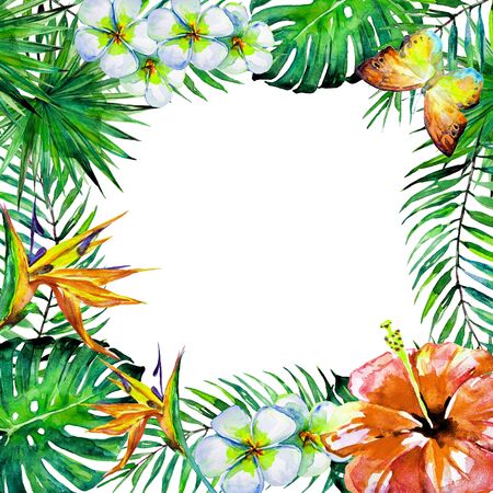 beautiful tropical palm leaves and flowers, watercolorの写真素材