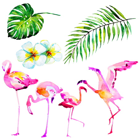 beautiful tropical palm leaves and flamingo, watercolorの写真素材