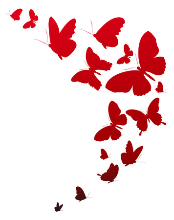 butterflies designの写真素材