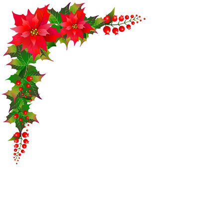 Christmas garland with poinsettia and cotton flowers, isolated on a whiteのイラスト素材