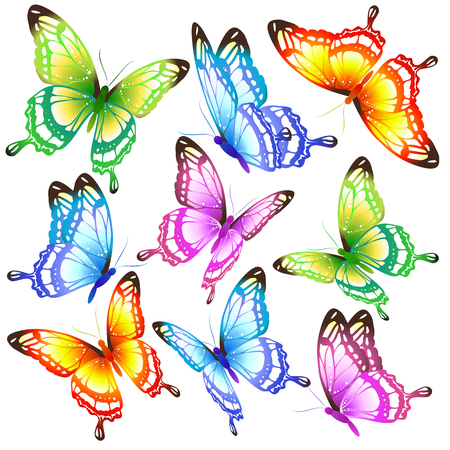 beautiful color butterflies,set, isolated  on a whiteのイラスト素材