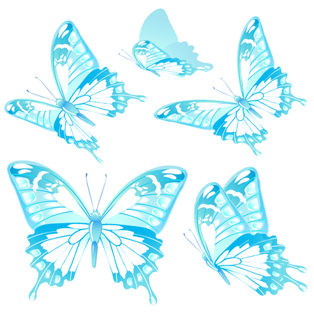 Beautiful blue butterflies, isolated on a whiteのイラスト素材