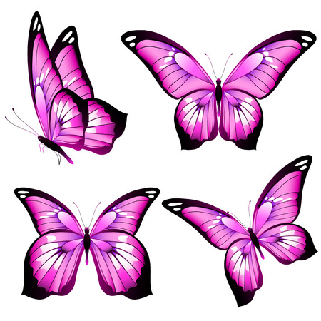 Beautiful pink butterflies vector illustration setのイラスト素材