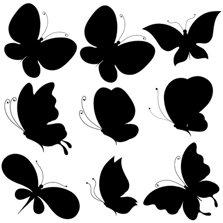 A black butterfly, isolated on a whiteのイラスト素材