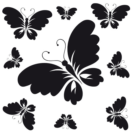black butterfly, isolated on a whiteのイラスト素材