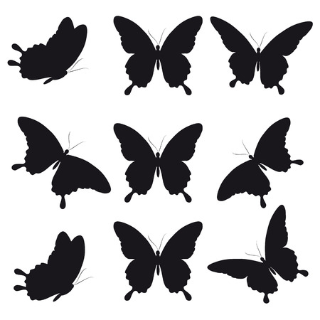black butterfly, isolated on a whiteのイラスト素材