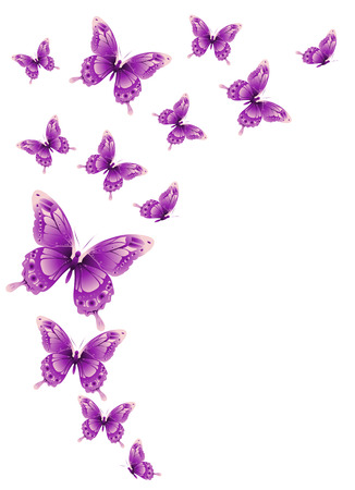 beautiful pink butterflies, isolated  on a whiteのイラスト素材