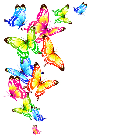 beautiful color butterflies,set, isolated  on a whiteのイラスト素材