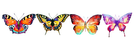 beautiful color butterflies, set, watercolor,  isolated  on a whiteの写真素材