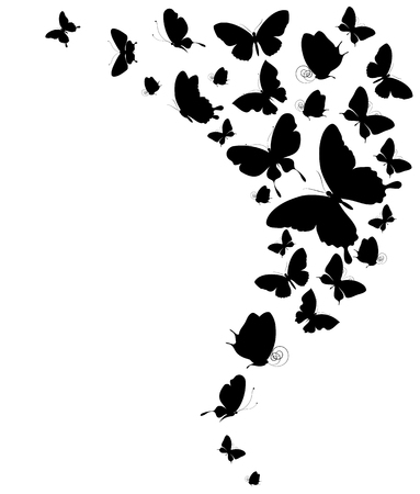 black butterfly, isolated on a whiteのイラスト素材