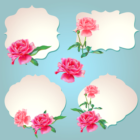 beautiful pink  rose, flowers isolated on blue background, vintage postalのイラスト素材