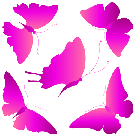beautiful pink butterflies, isolated  on a whiteのイラスト素材