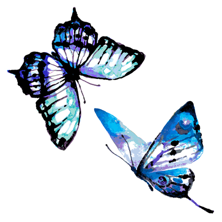 beautiful blue butterfly,watercolor,isolated on a whiteのイラスト素材